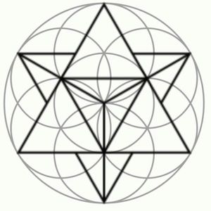 Meet your Posher, Sal